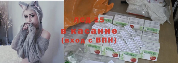 PSILOCYBIN Иннополис
