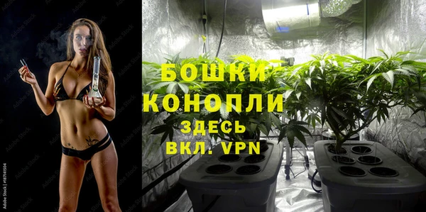 PSILOCYBIN Иннополис
