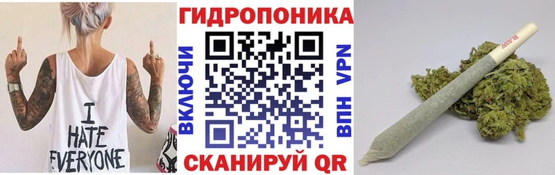 Купить где  Снежногорск  Канабис гибрид 
